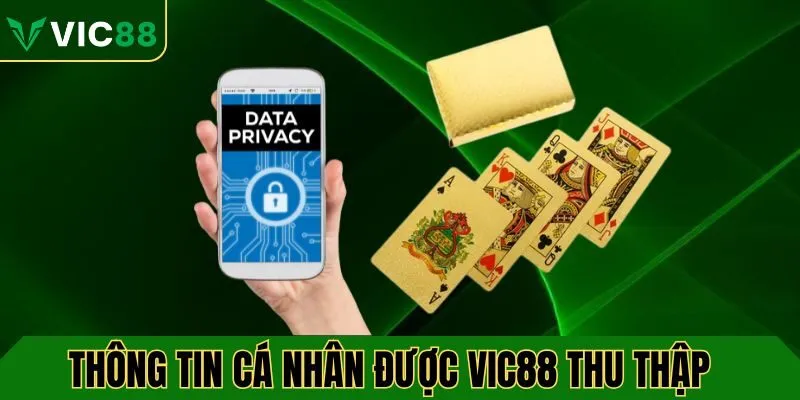 Những thông tin cá nhân được VIC88 thu thập