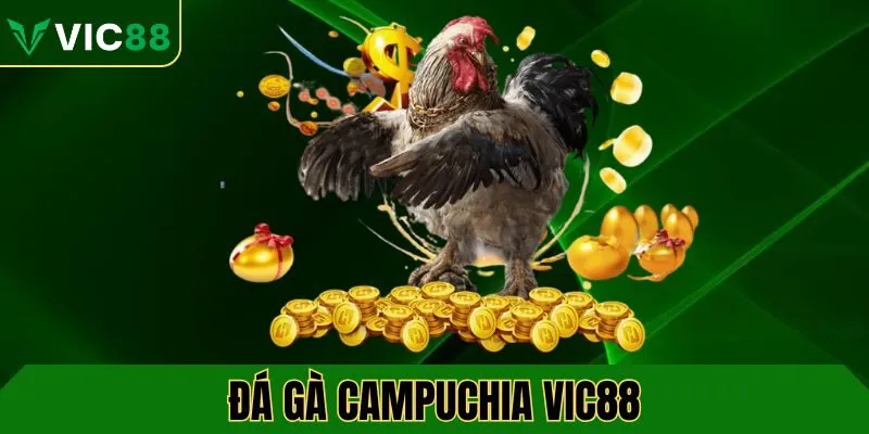 da-ga-campuchia-vic88-avt