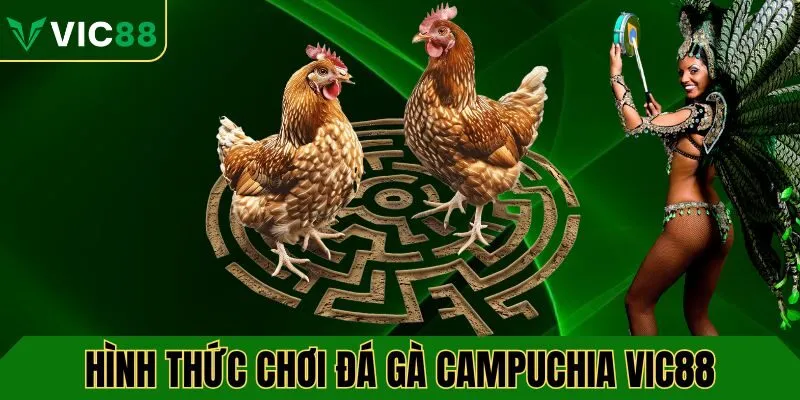 Hình thức chơi đá gà campuchia VIC88 phổ biến hiện nay