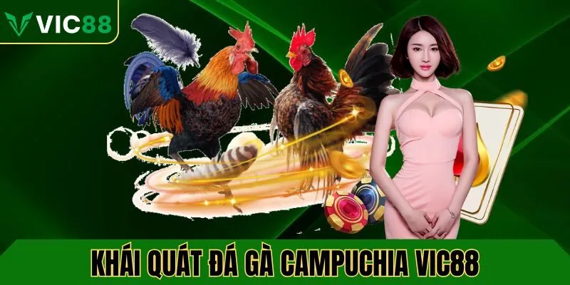Khái quát về Đá gà Campuchia VIC88