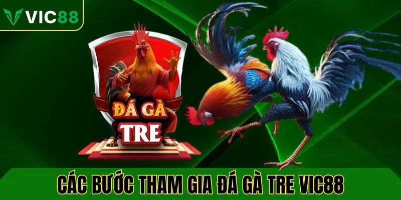 Các bước tham gia đá gà tre VIC88