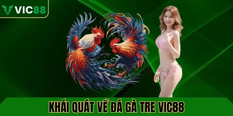 Khái quát về chuyên mục đá gà tre VIC88