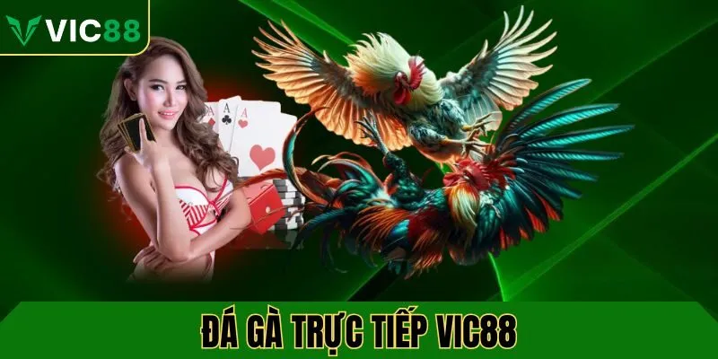 da-ga-truc-tiep-vic88-avt