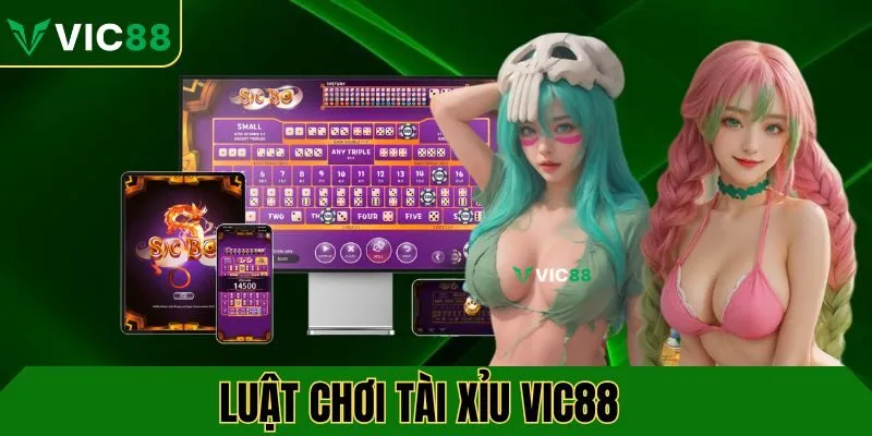 Luật chơi tài xỉu VIC88 cơ bản
